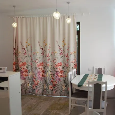 Apartment Casa Cu Tei